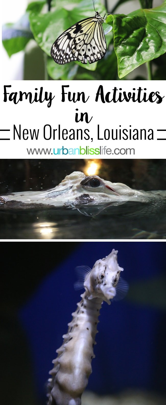 Family fun activities in New Orleans, Louisiana on UrbanBlissLife.com