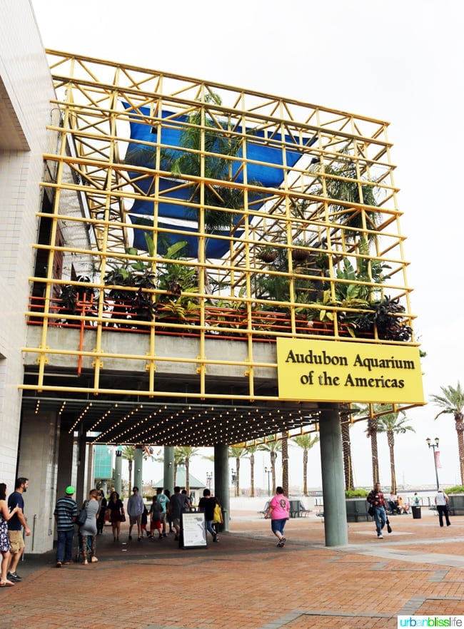 Family fun activities in New Orleans, Louisiana on UrbanBlissLife.com