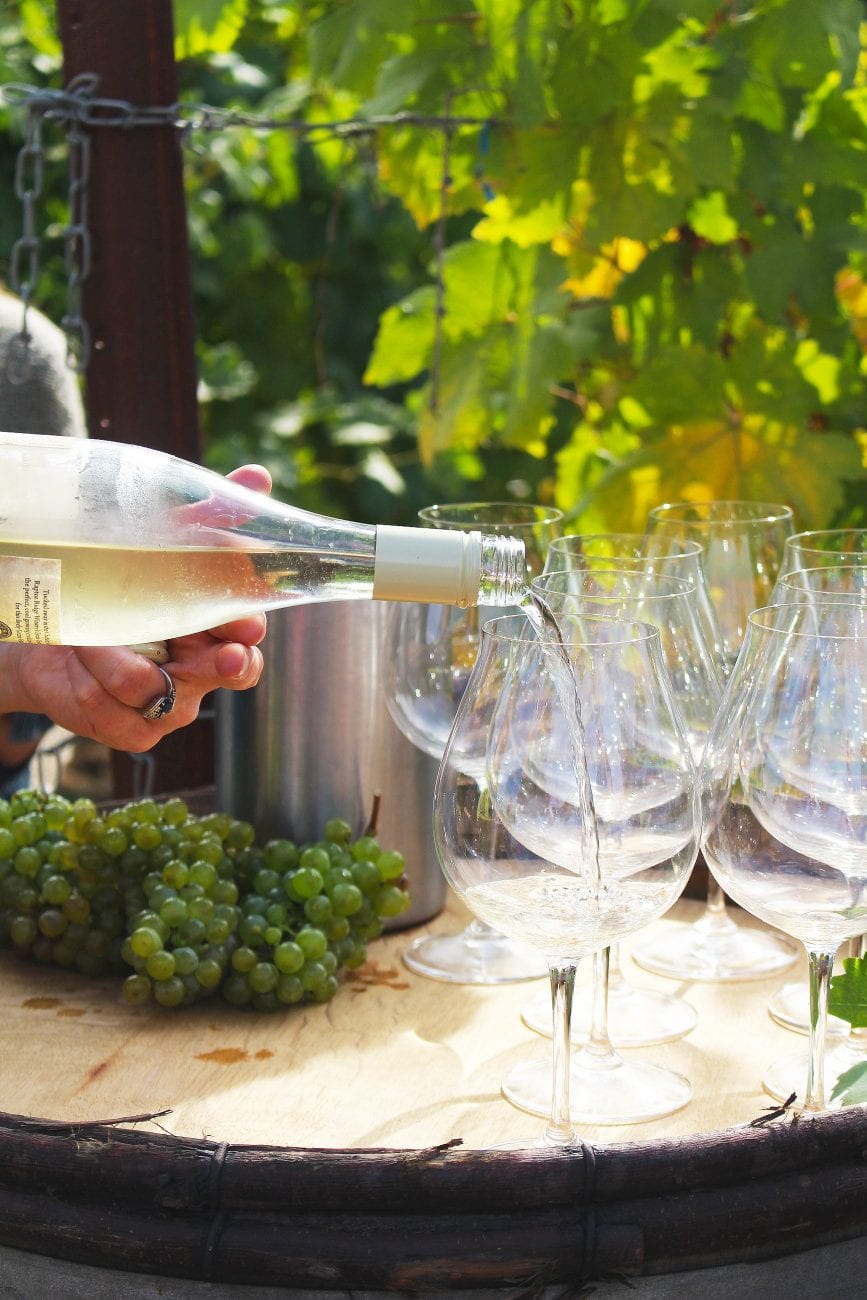 pouring white wine onto glasses on a wine barrel next to a vineyard.