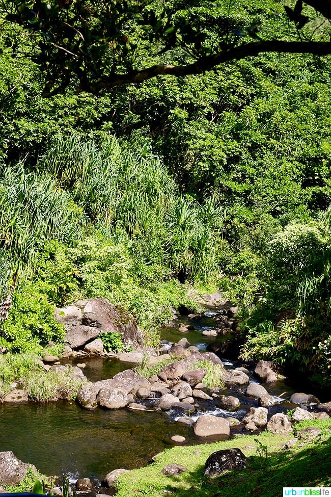 Kauai Limahuli Garden and Preserve travel tips on UrbanBlissLife.com