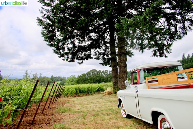 vintage pick up truck