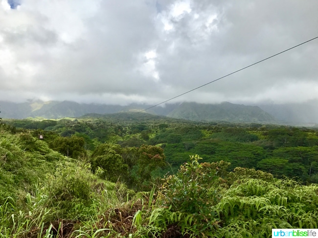 Ziplining and Kayaking in Kauai on UrbanBlissLife.com