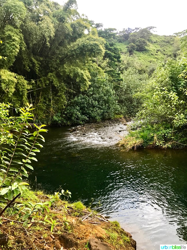 Ziplining and Kayaking in Kauai on UrbanBlissLife.com