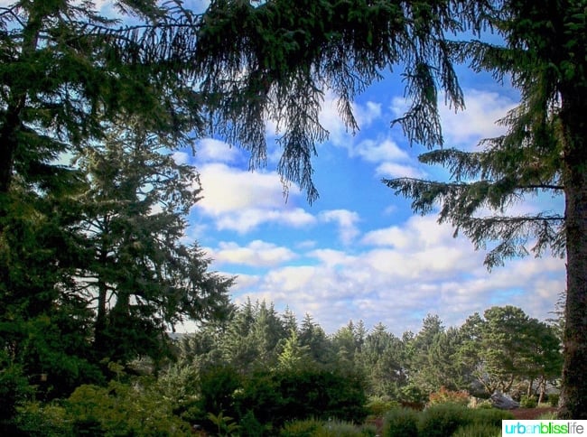 Salishan Spa and Golf Resort hotel review family travel on UrbanBlissLife.com