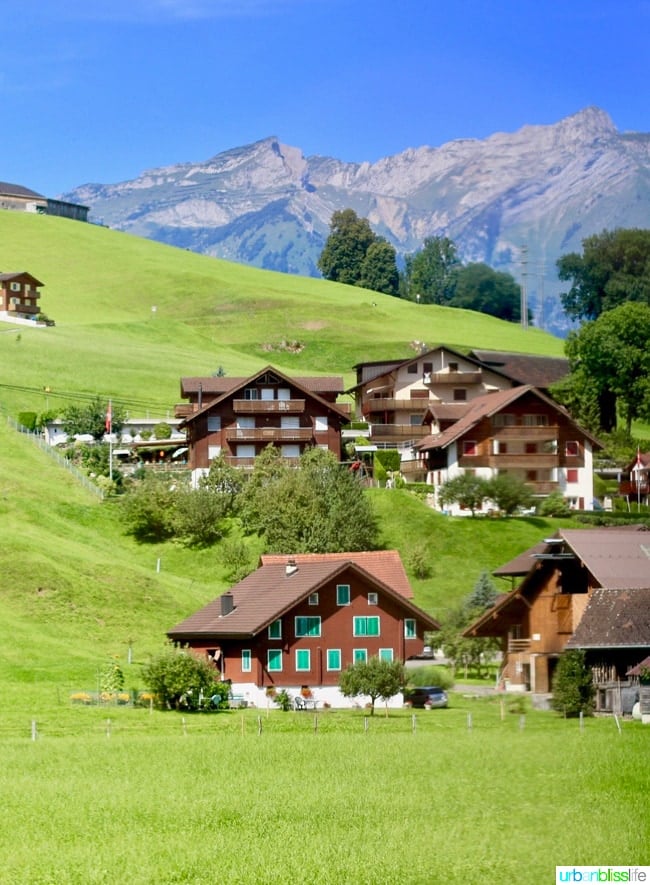 swiss countryside and alps