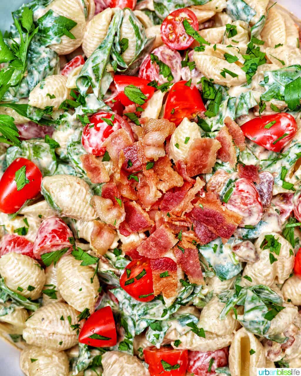 BLT pasta salad close up with pasta, tomatoes, lettuce, sauce, bacon.