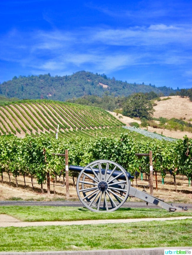 Wine tasting at Abacela Winery in Roseburg, Oregon wine country, on UrbanBlissLife.com