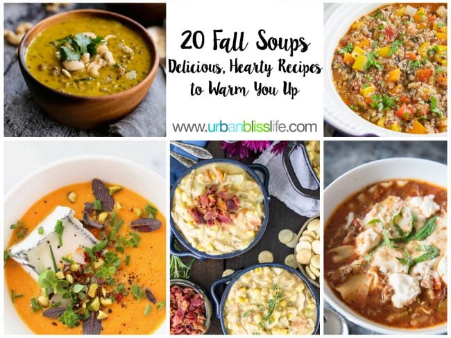 20 best fall soup recipes to keep you warm and toasty! Get the recipes on UrbanBlissLife.com. 