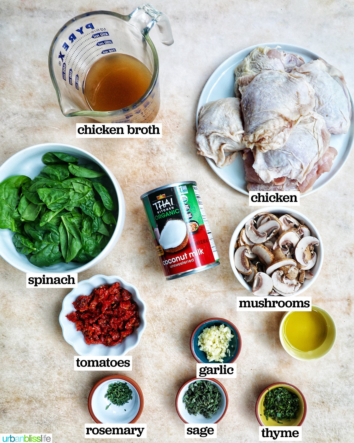 ingredients to make dairy free Marry Me chicken thighs.