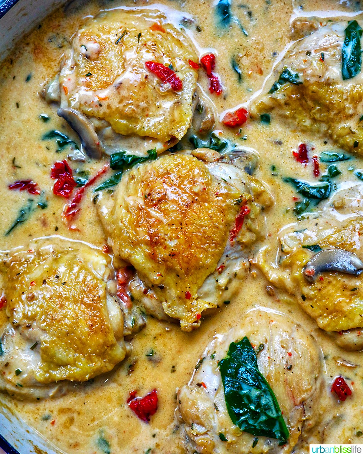 pan with dairy free marry me chicken thighs in a rich mushroom sun-dried tomato sauce.