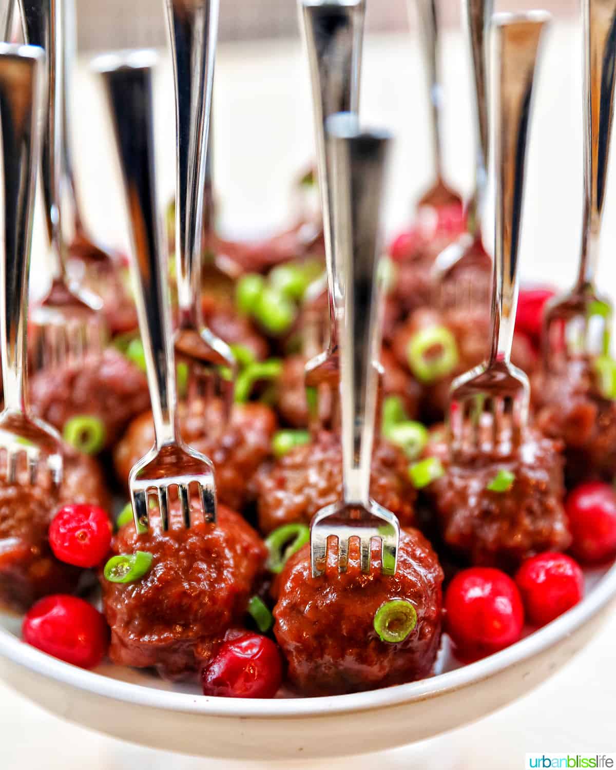 cranberry meatball party appetizers plated