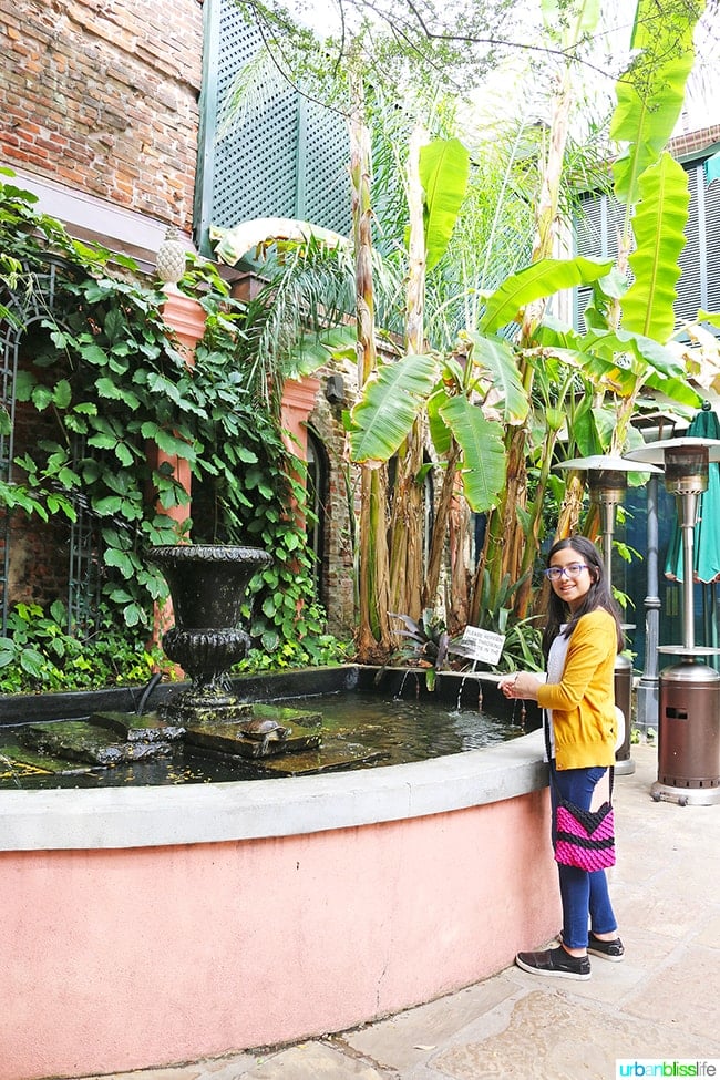 Visiting the turtles at Brennan's Restaurant, travel stories on UrbanBlissLife.com