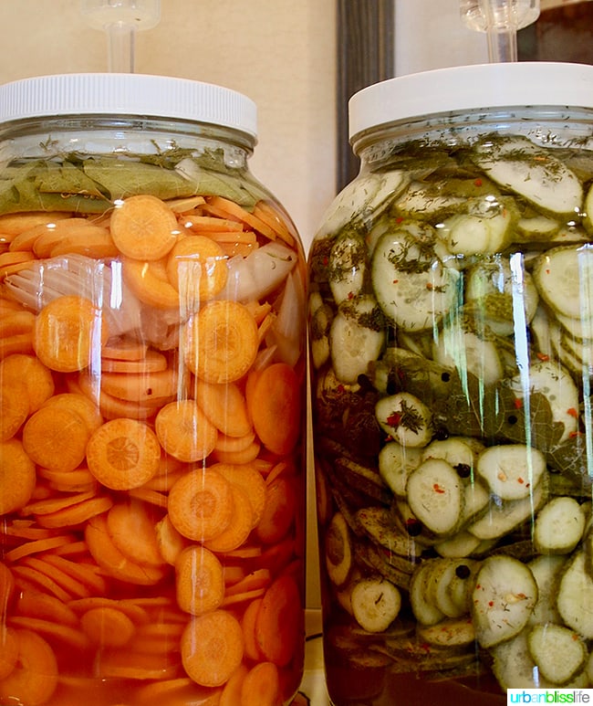 pickled vegetables at Wooldridge Creek Winery Grants Pass, Oregon Applegate Valley wine tasting and tour, on UrbanBlissLIfe.com