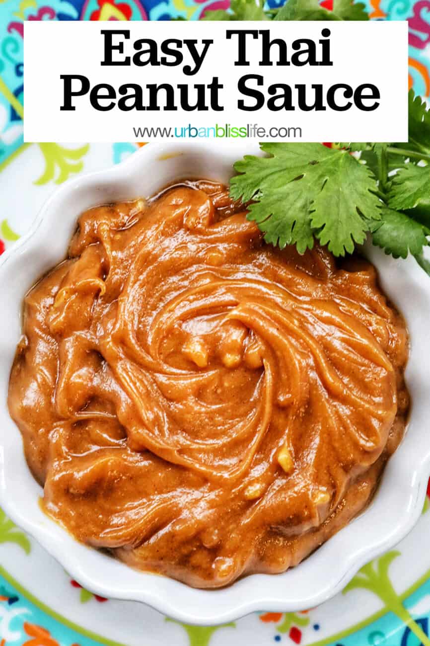 Thai peanut sauce in a white bowl with rainbow spring rolls on the side and cilantro leaves with text that reads Easy Thai Peanut Sauce.