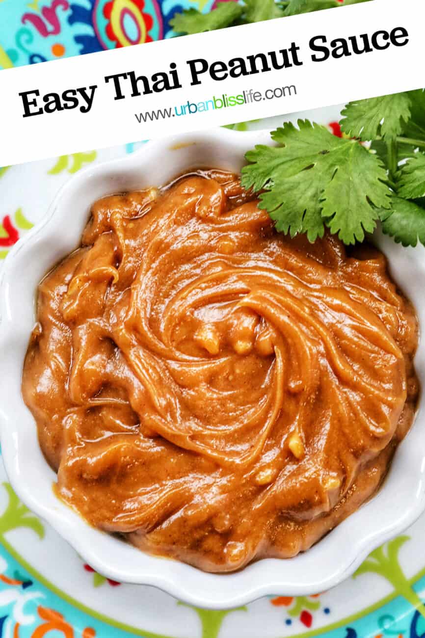 Thai peanut sauce in a white bowl with rainbow spring rolls on the side and cilantro leaves with text that reads Easy Thai Peanut Sauce.