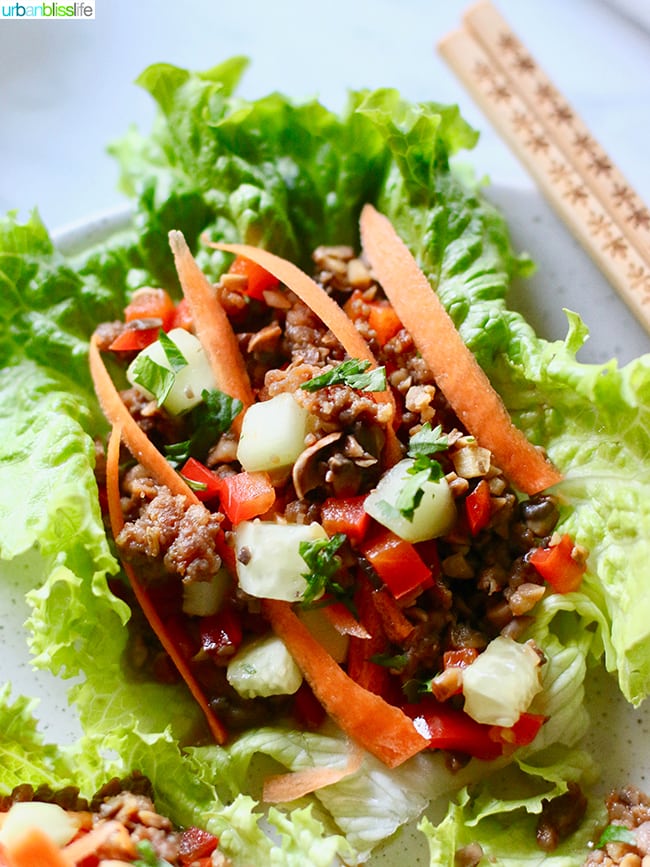 Low carb lettuce wraps - Teriyaki Mushroom Sausage Lettuce Wraps