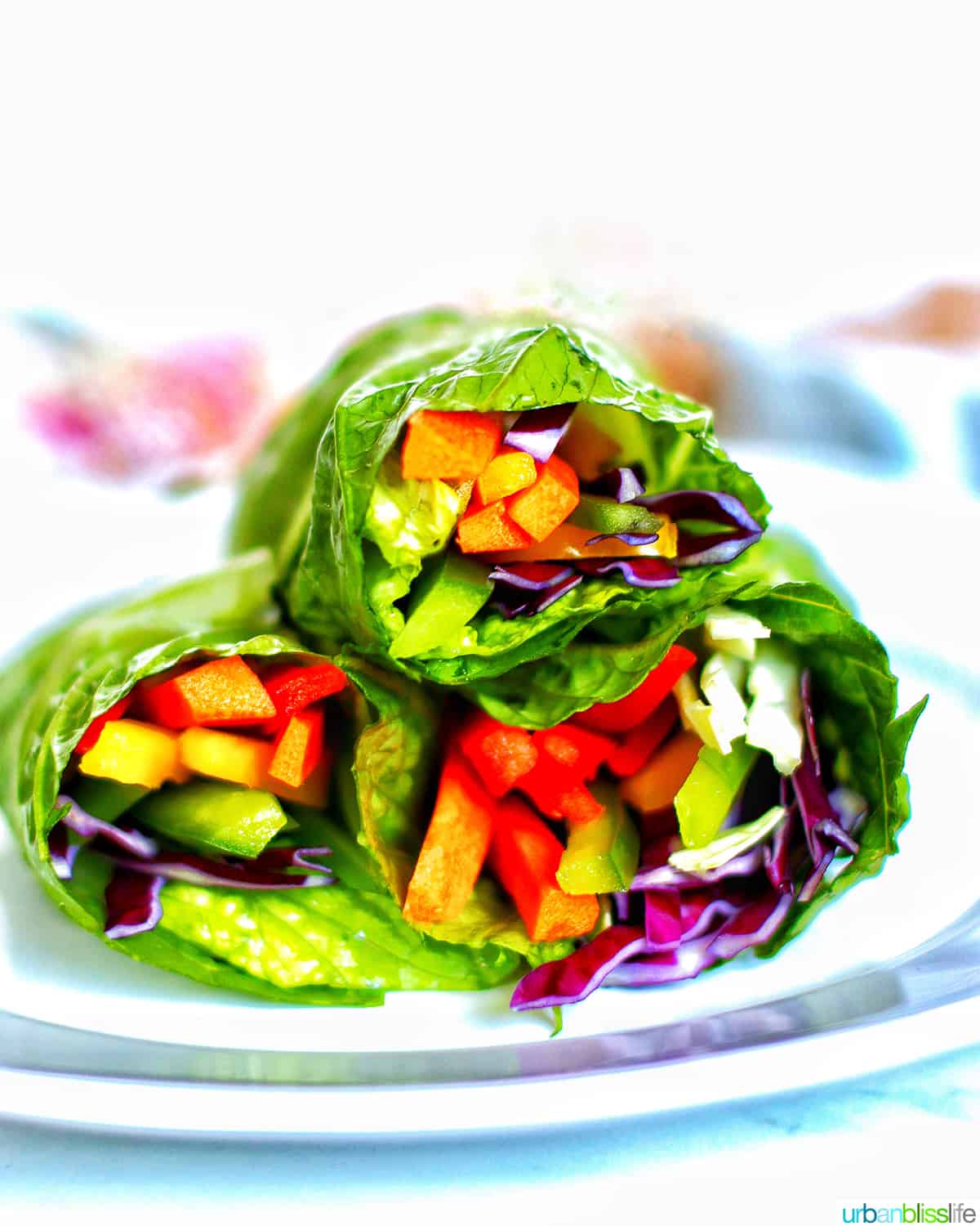 three rainbow salad rolls stacked on a plate.