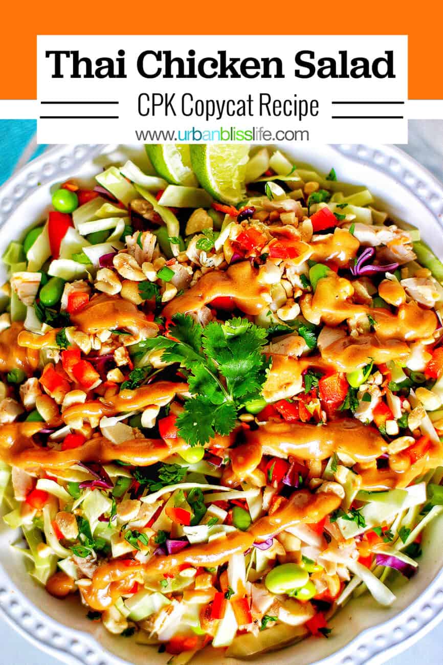 big bowl of Thai chicken salad with title text