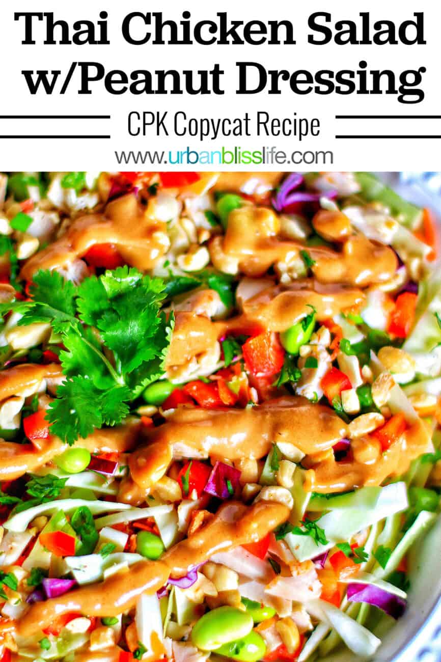 big bowl of Thai chicken salad with title text