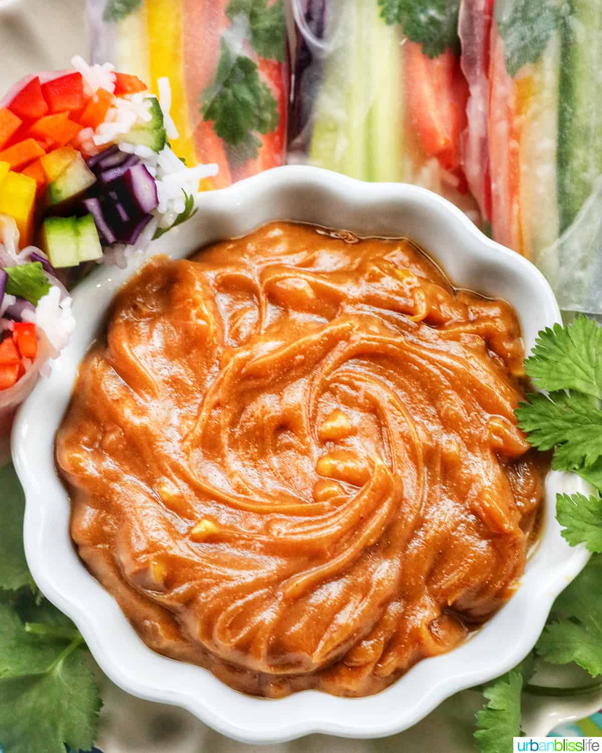 Thai peanut sauce in a white bowl with rainbow spring rolls on the side and cilantro leaves.