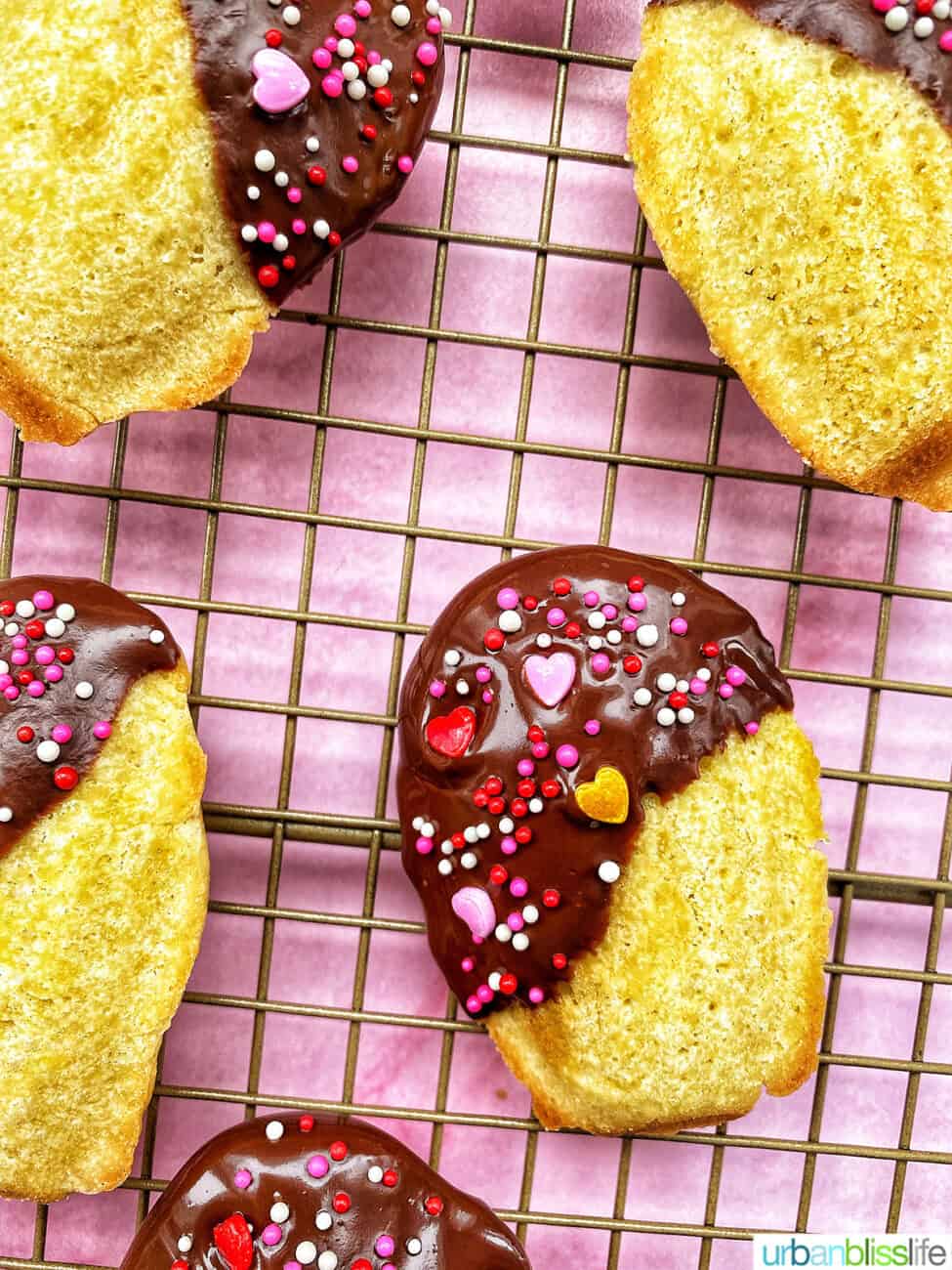chocolate dipped madeleines on a cooling rack