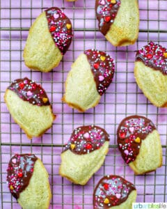 chocolate dipped madeleines on a baking rack
