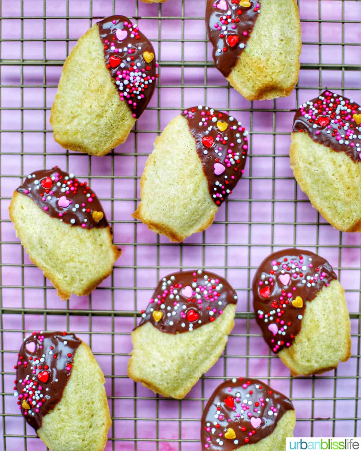 chocolate dipped madeleines on a baking rack