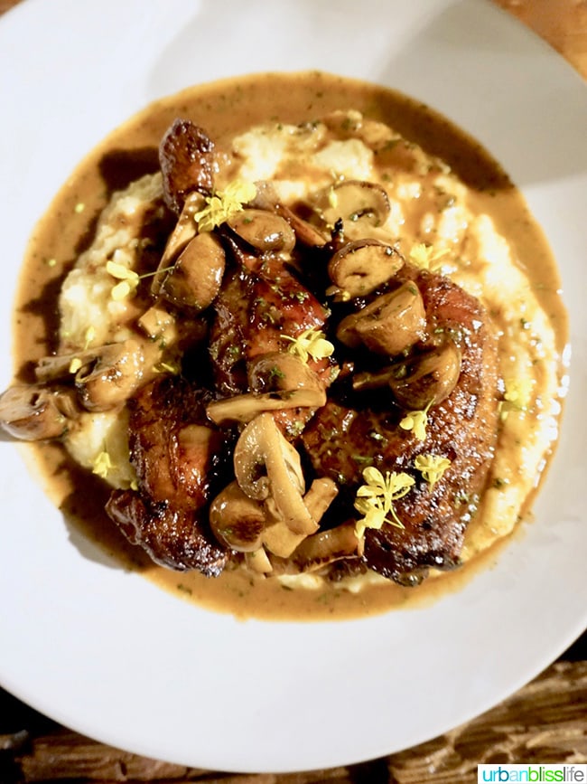 Il Solito restaurant braised chicken marsala