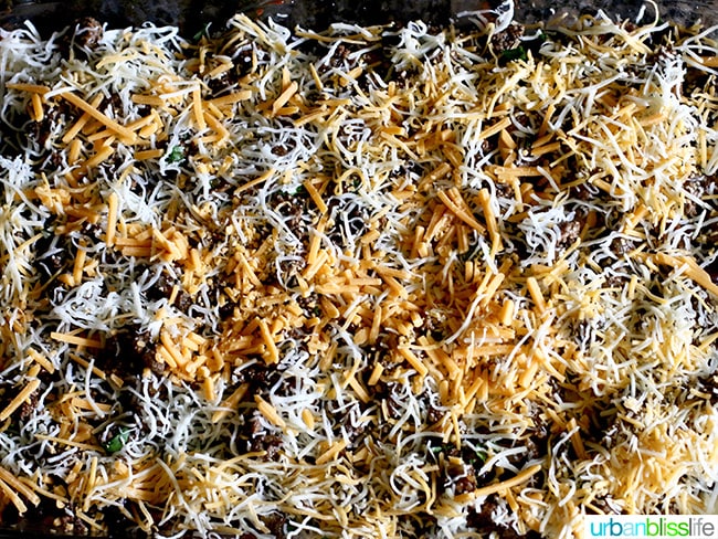 Mexican Lasagna cheese layer