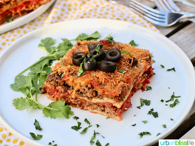 Mexican Lasagna single landscape