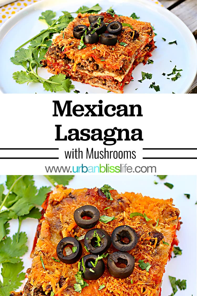 Mexican Lasagna