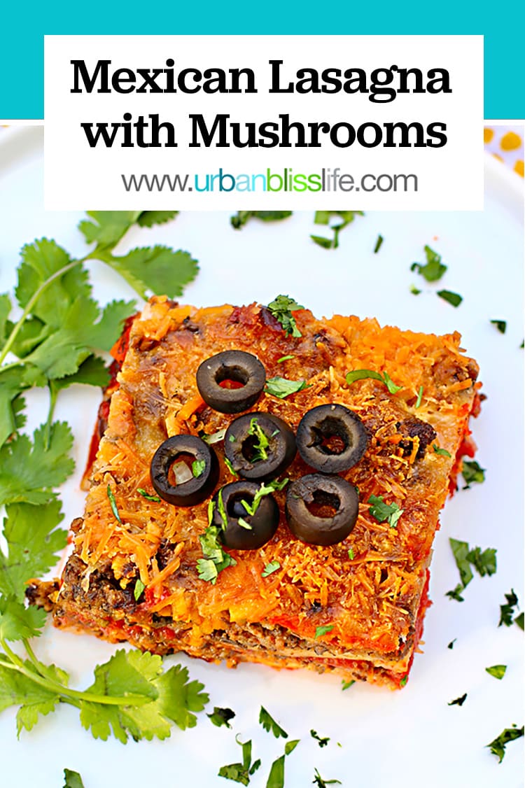 Mexican Lasagna