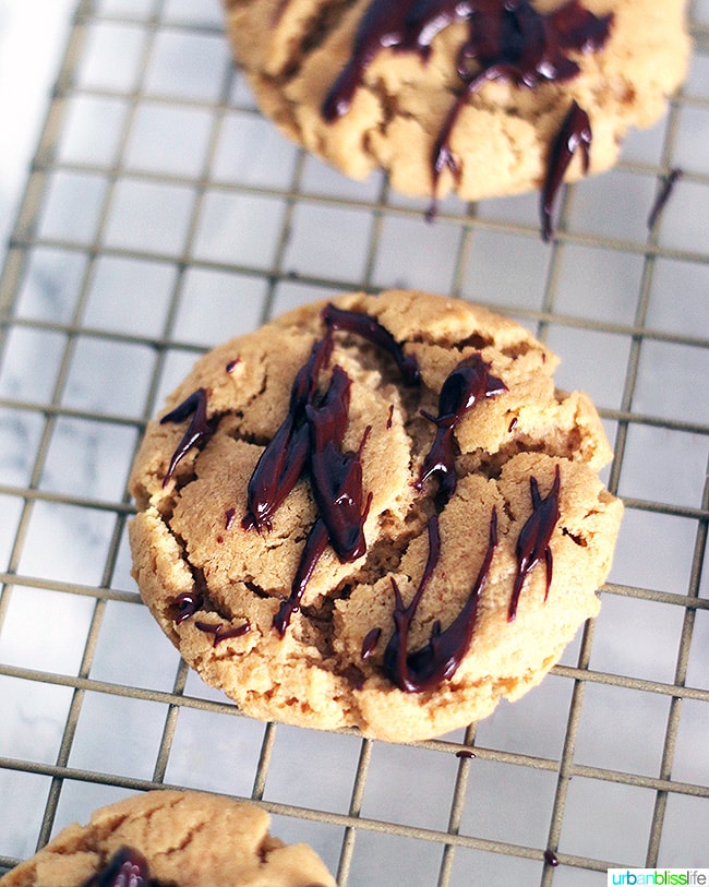 Chocolate Drizzle on Peanut Butter Cookies 