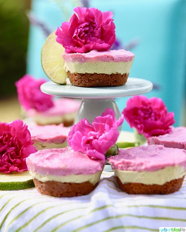 avocado, lime and pink pitaya mini vegan cheesecakes