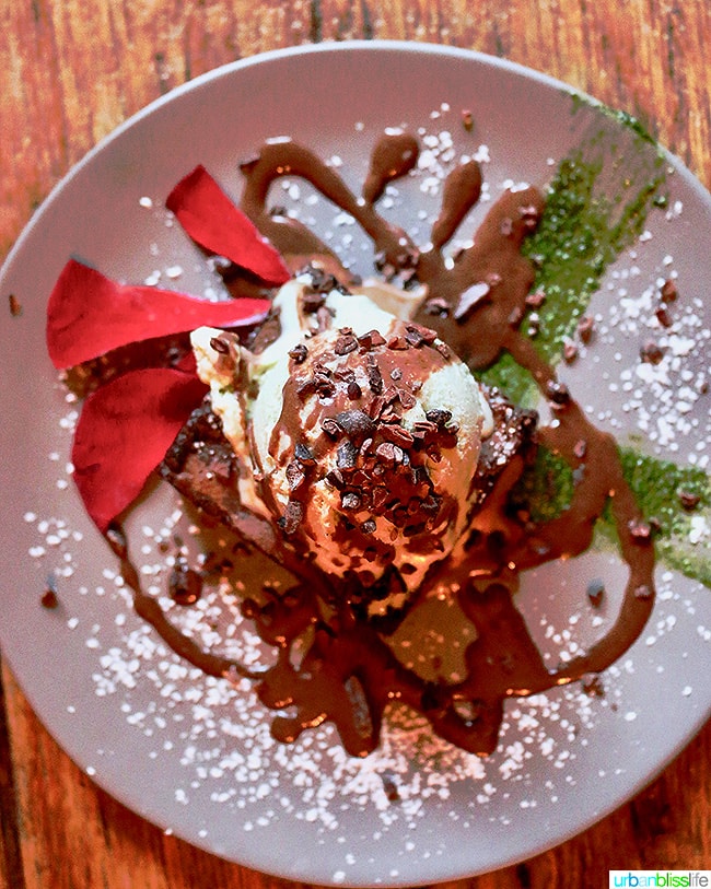 ice cream with chocolate sauce and chocolate chips on a grey plate on wood table.