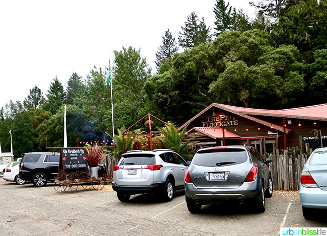 outside parking lot of The Bewildered Pig restaurant with parkd cars and trees and the exterior of the restaurant.