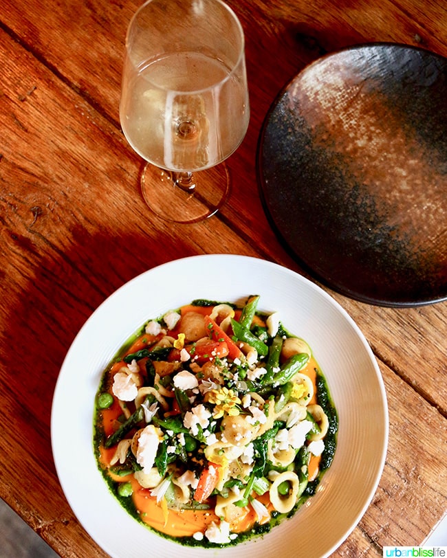 bowl of colorful salad with a glass of wine on a wood table at The Bewildered Pig restaurant.