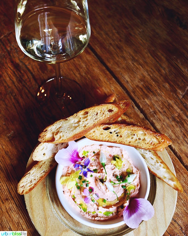 delicious salmon mousse and wine at The Bewildered Pig restaurant 