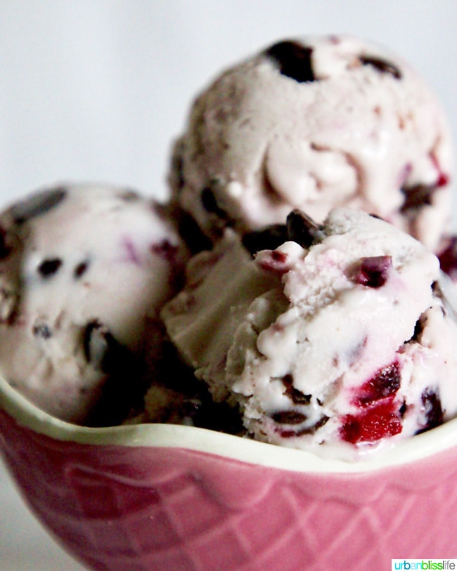 Cherry Chocolate Chip Vegan Ice Cream 