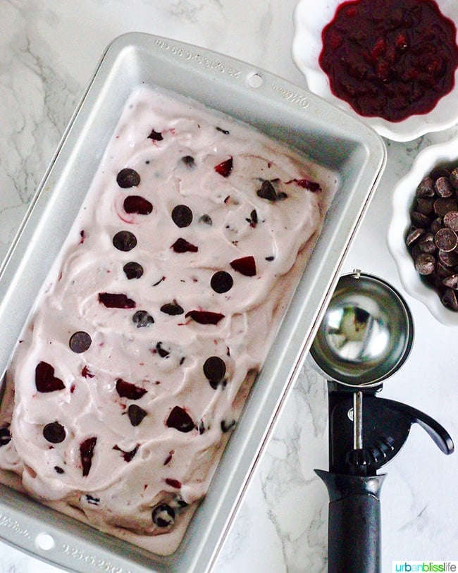 Cherry Chocolate Chip Ice Cream 