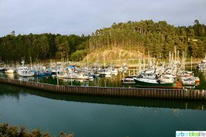 Noyo Harbor, Fort Bragg, California