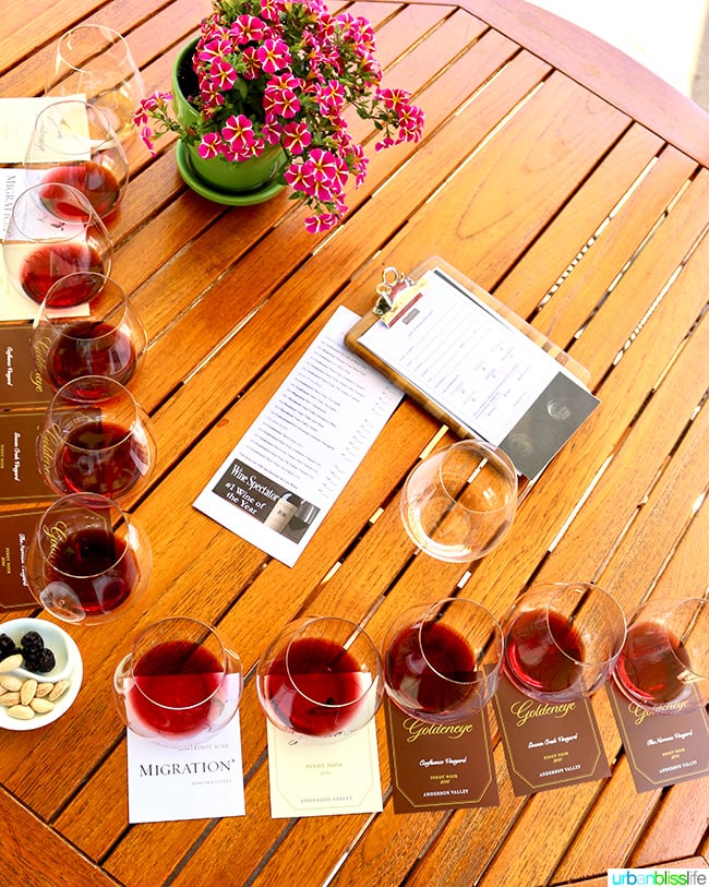 Alexander Valley Wineries: Goldeneye wine flight