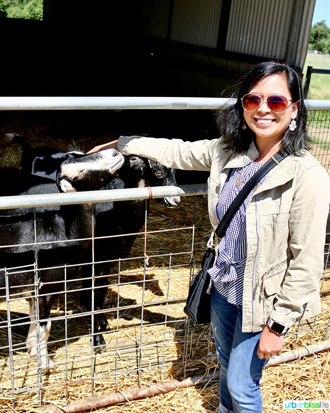 Penny Royal Farm
