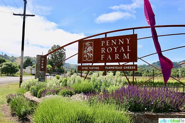 Penny Royal Farm