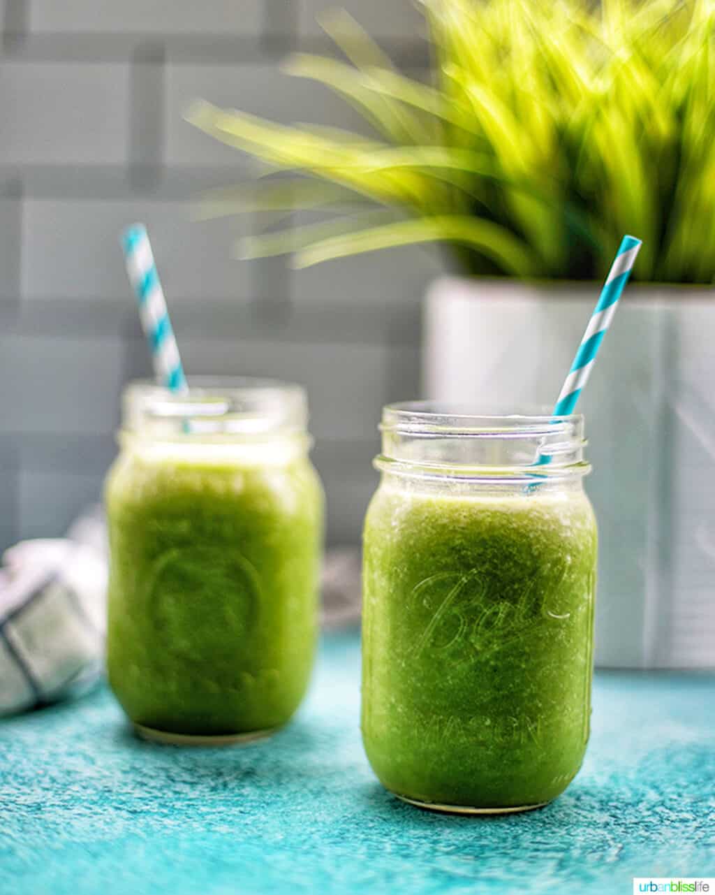 two mason jars with green smoothies on blue surface with plant in background