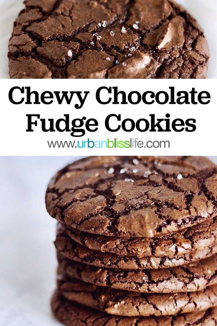 Chewy Chocolate Fudge Cookies