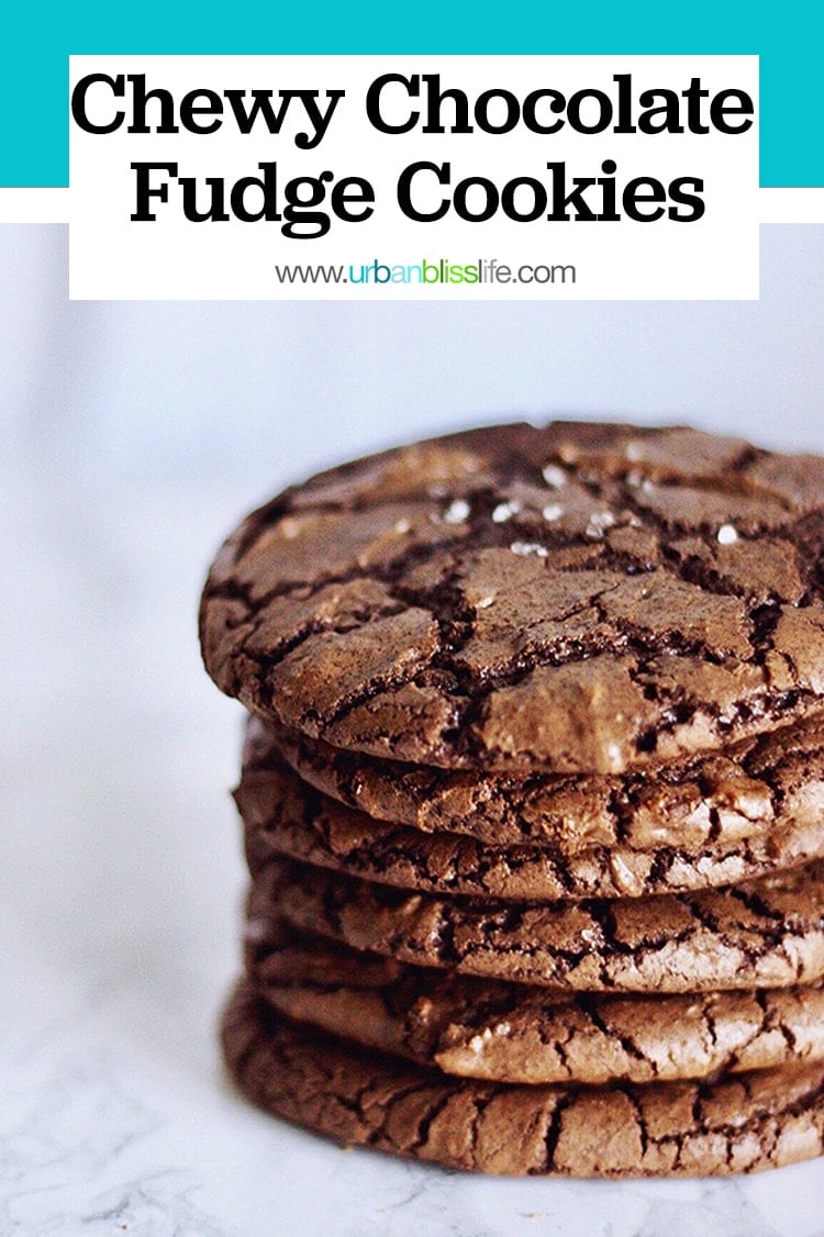 Chewy Chocolate Fudge Cookies