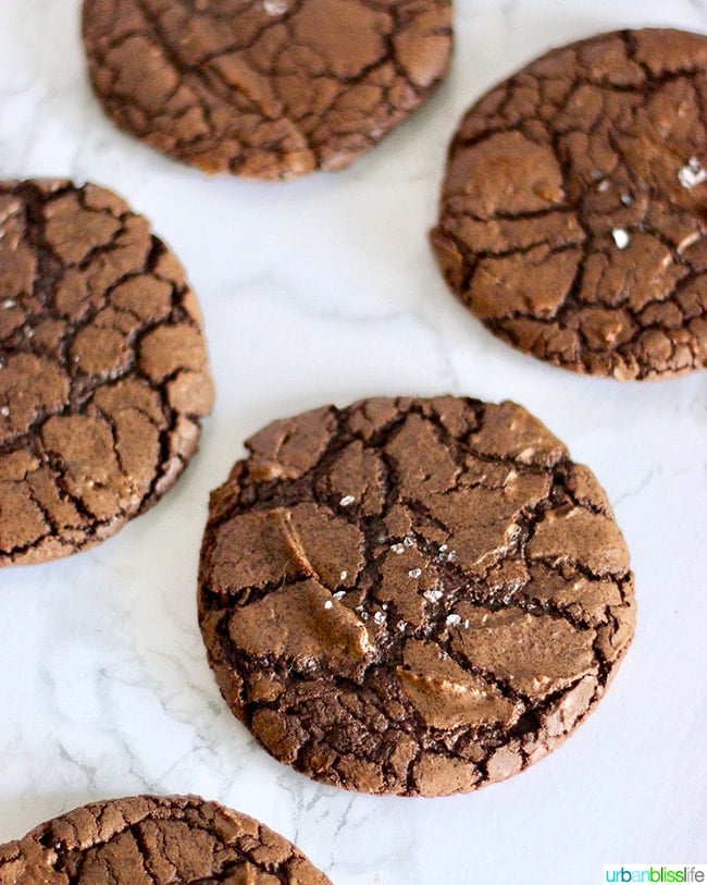 Chewy Chocolate Fudge Cookies 