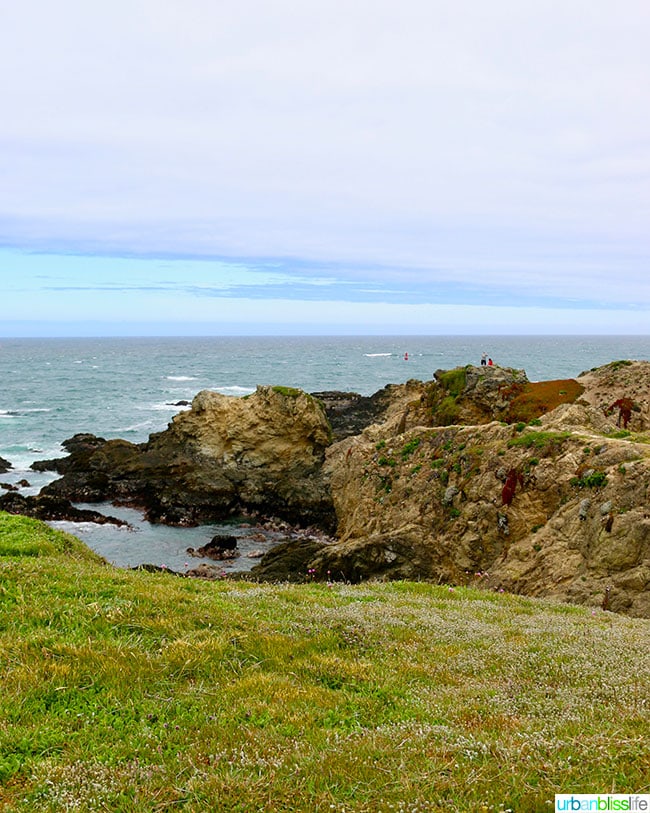 Pomo Bluffs Fort Bragg, California