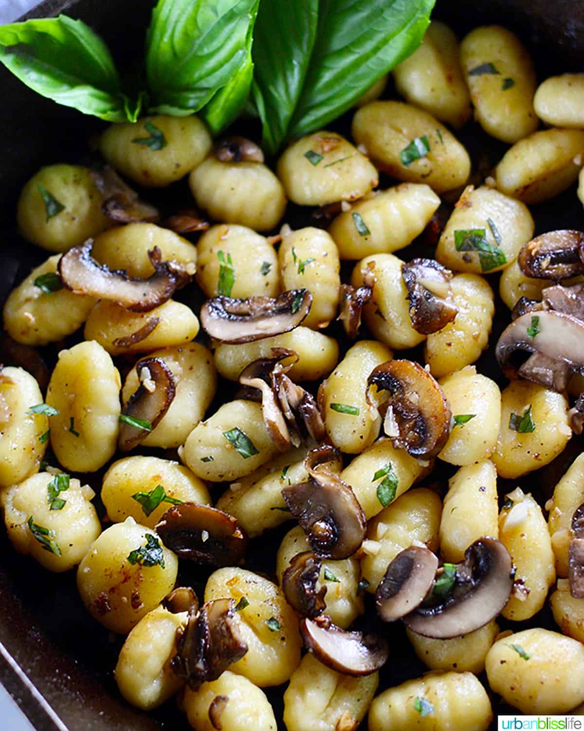 cast iron skillet with gnocchi, mushrooms, basil.